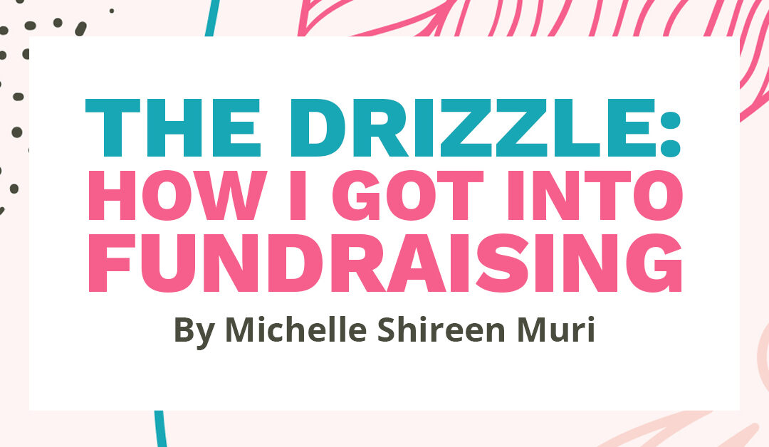 Banner with the text "The Drizzle: How I Got Into Fundraising By Michelle Shireen Muri"
