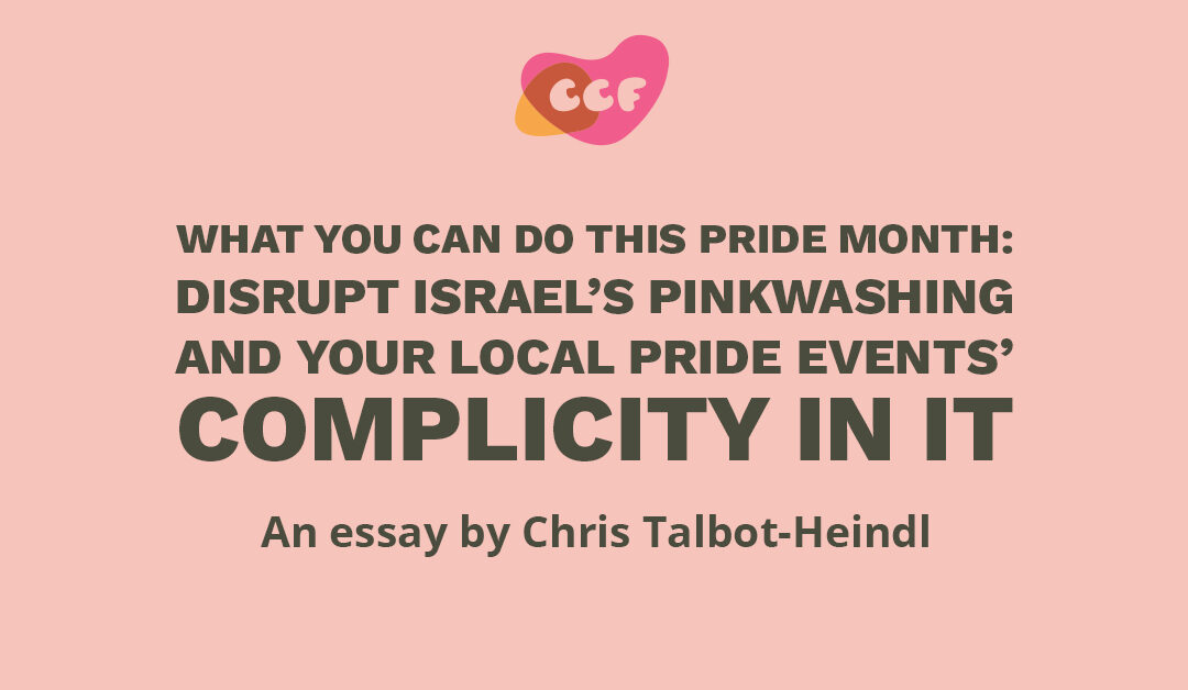 Banner says "What you can do this Pride month: Disrupt Israel’s pinkwashing and your local Pride events’ complicity in it. An essay by Chris Talbot-Heindl"