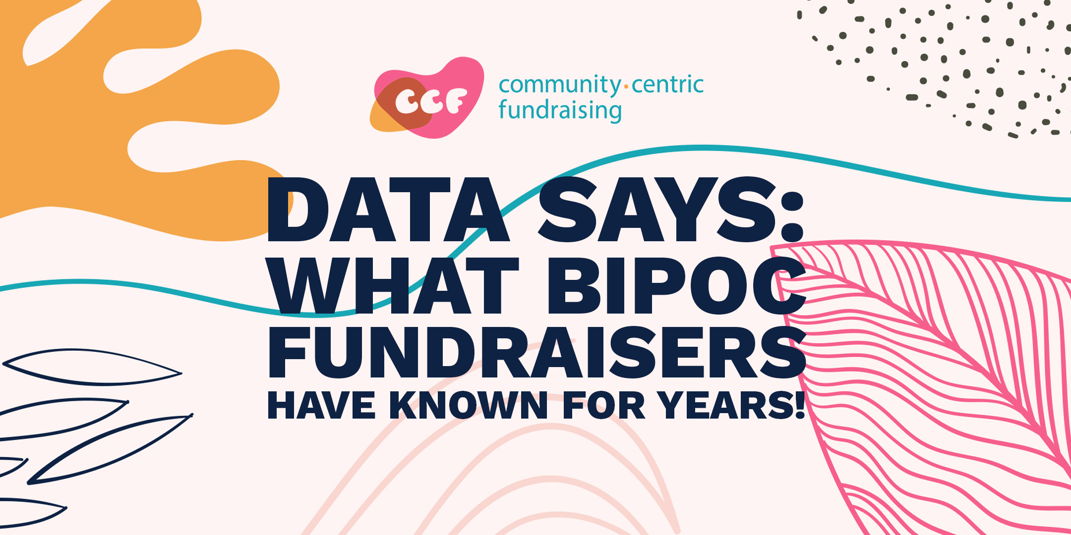 Banner says Data Says: What BIPOC fundraisers have known for years!