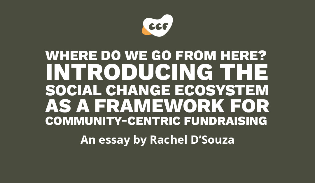 Where do we go from here? Introducing the Social Change Ecosystem as a framework for Community-Centric Fundraising