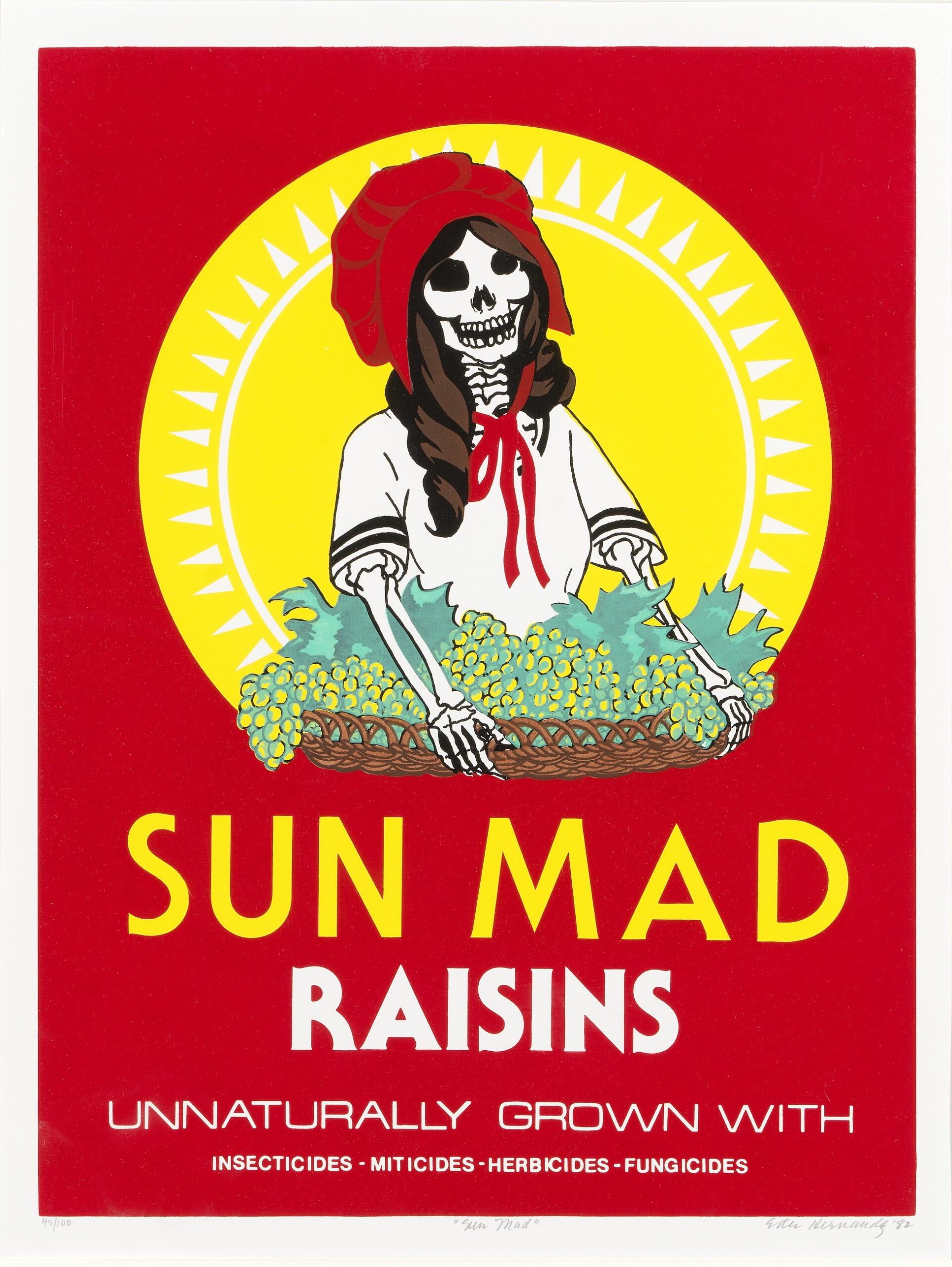 A screenprint parodying a Sun Maid Raisin box. The woman on the box is replaced with a skeleton. Text says Sun Mad Raisins. Unnaturally grown with insecticides, miticides, herbicides, fungicides.